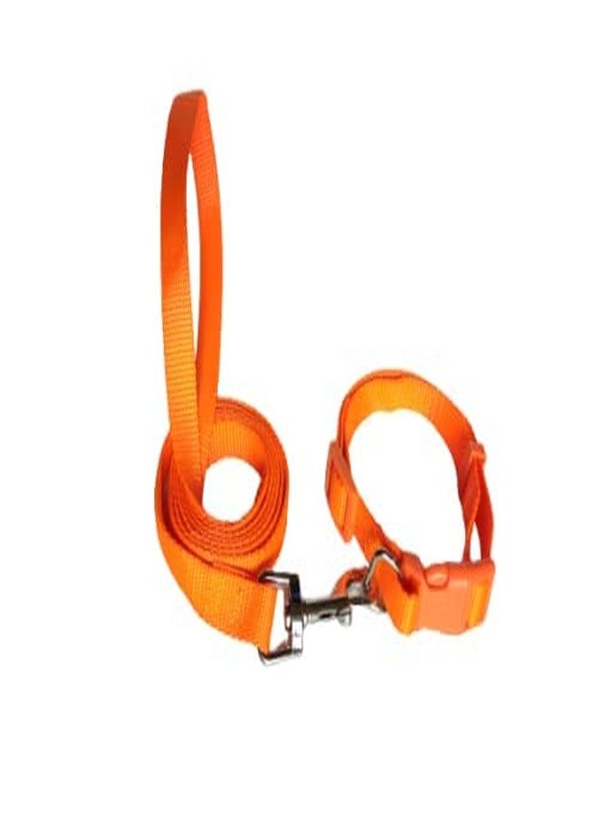 Pups&Pets 10MM Nylon Plain Strip Pattern Heavy Hook Leash with Adjustable Buckle Neck Collar Belt Ideal for Outdoor Training/Walking Dogs and Puppies (Orange) - Image 1